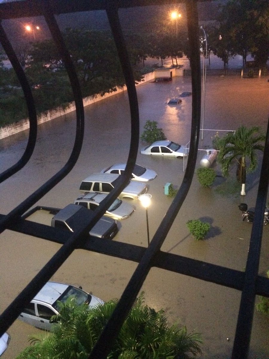 Ver imagen en Twitter