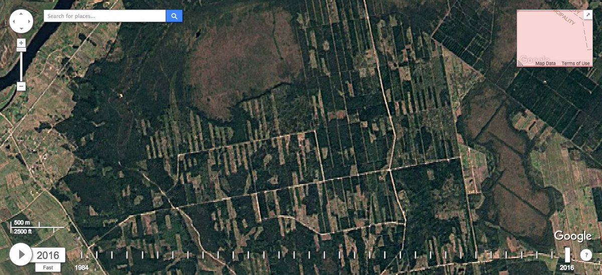Random LV mežu pleķis: 1996 vs 2016