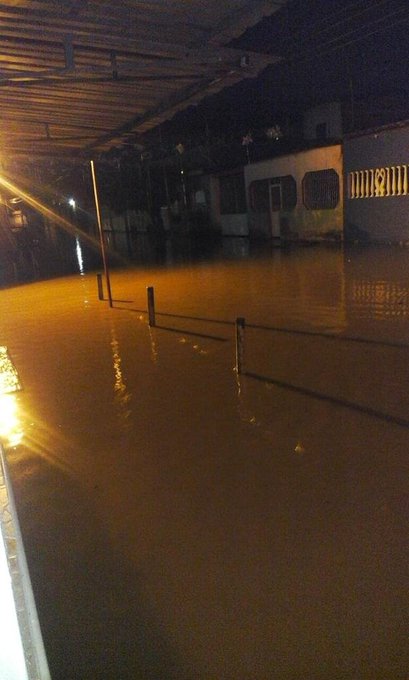 Ver imagen en Twitter