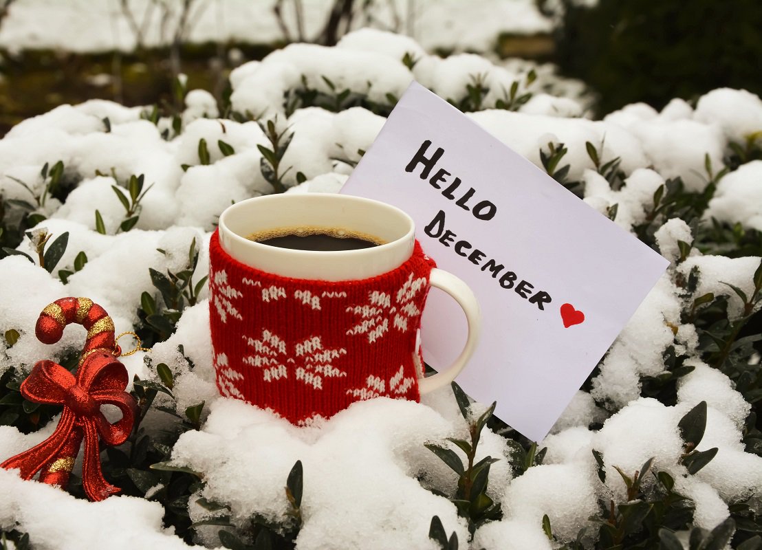 QwertyTravel's tweet photo. First door of our Advent Calendar is open!! 🎅🎄 https://t.co/1wWtrDJMbe