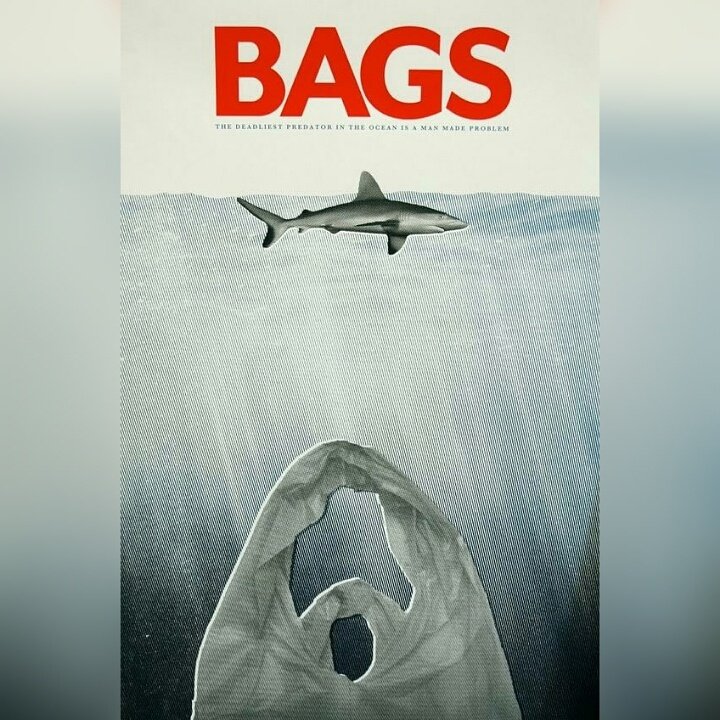oceanfinatic tweet media
