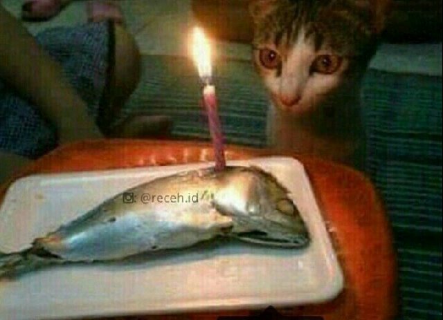 sseolgik's tweet photo. @cnyolx jar kemaren tgl 27 hbd kan? Tiup lilin dulu dong https://t.co/aoXI8rby8p