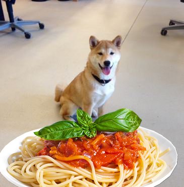 WunThompsonANR's tweet photo. No, no, Nestor! The pasta is not-a for you-a. You are our #OfficeDog, not our personal taster éh! #WundermanDay #PaoloPosts https://t.co/oPUDrmBmiP