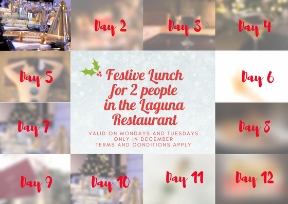 On the first day of Christmas, Park Plaza gave to me...3 COURSE FESTIVE LUNCH X 2 PEOPLE - FOLLOW AND RT TO WIN! Winner announced in 24hrs.