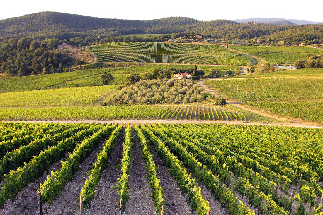 eventsy's tweet photo. Come along and join the Charity Benefit Celebration of 300 Years of Chianti. 
#Eventsy #Chianti
https://t.co/Lt6TTpopWQ https://t.co/7NQI059Mn4