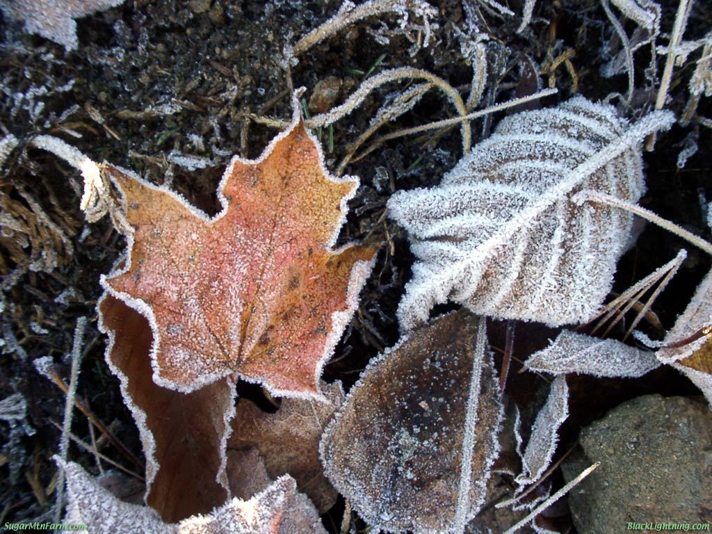 LSF_LST's tweet photo. Sortez Dehors - début décembre 2016 «Glace, neige et magie moléculaire » via #R4R - https://t.co/Hezacq3ImP https://t.co/jEMfAsf12R