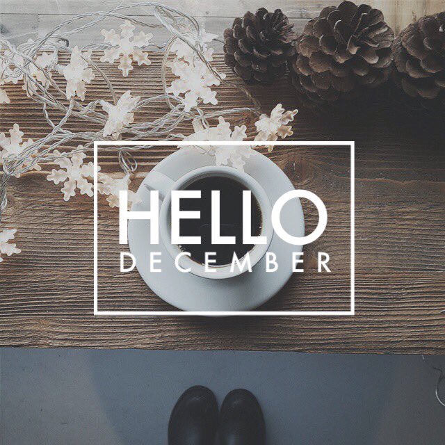 np_designs's tweet photo. Hello #December. #sazzyreader #lovewhatido #coffeelover #stayingwarmandcozy https://t.co/1yD4GuDKVn