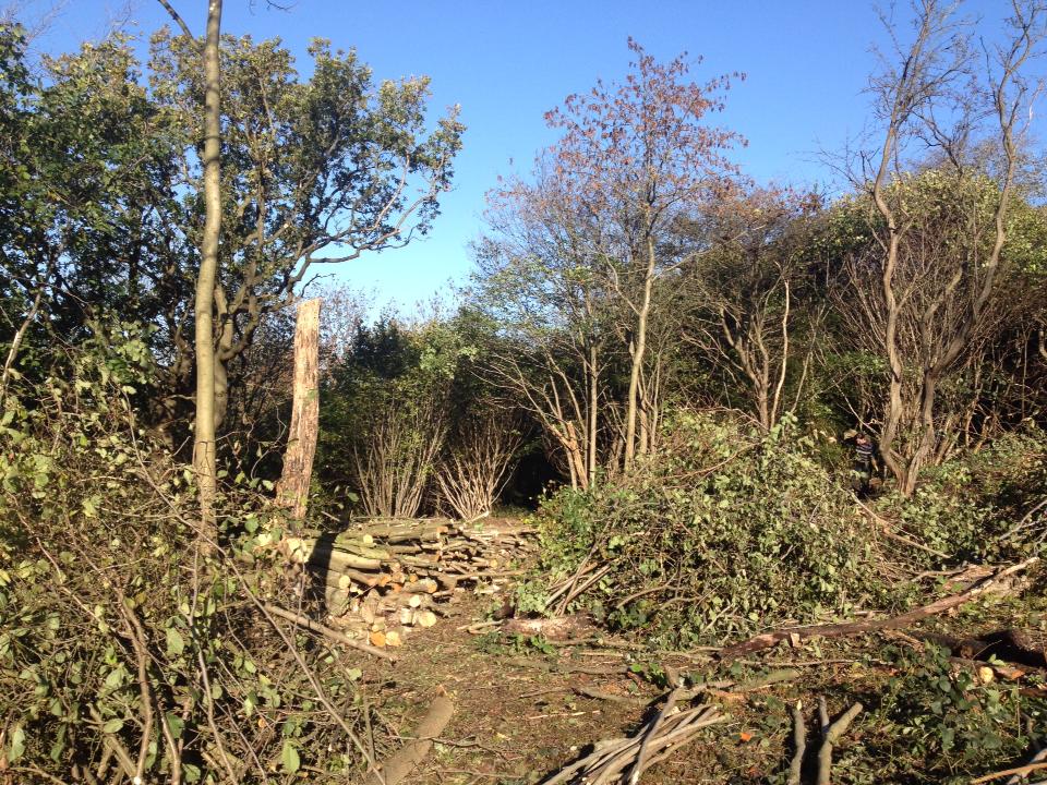 localwoodswork's tweet photo. Calling woodland social enterprises in North of England! Join us 12 Dec with @LeedsCoppice &amp; Co-op Culture https://t.co/AGD4Rh46cO #SocEnt https://t.co/quQuY67uti