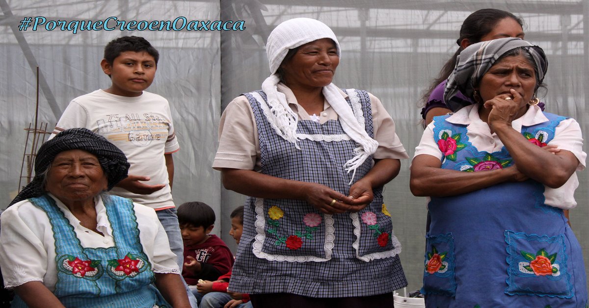 OaxacaUnida tweet media