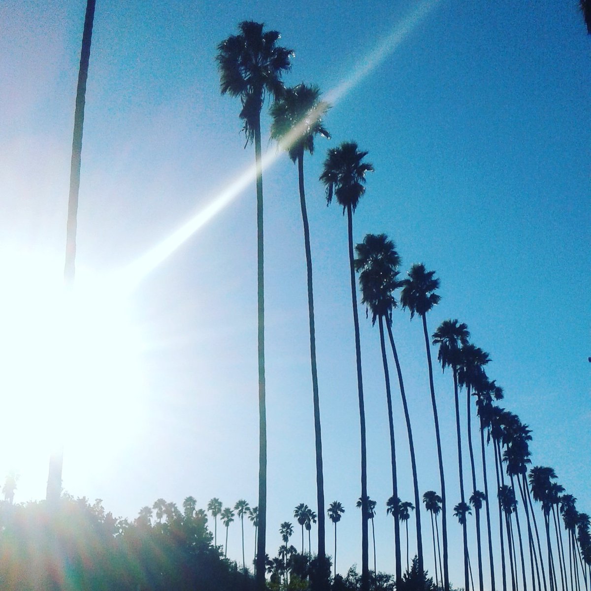 rapperreill's tweet photo. Good Morning #LA 🌴
#LosAngeles #reill https://t.co/KQbT5hYhQK