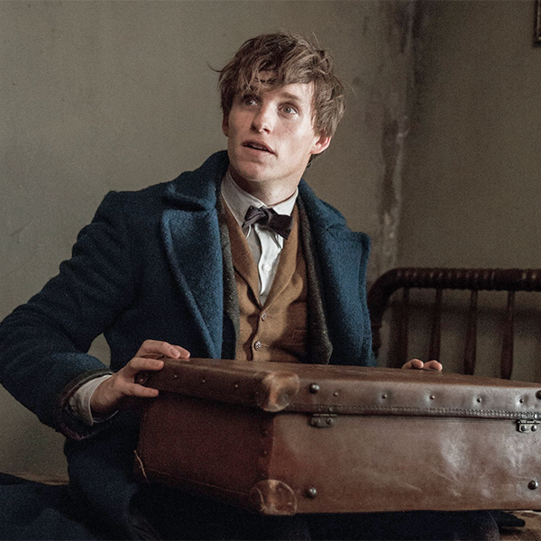 actorvschar's tweet image. eddie redmayne // newt scamander