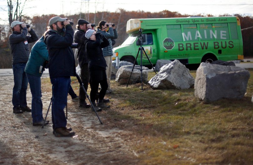 A new tour in Maine is combining beer with bird watching and it's a big hit! dpo.st/2gMO0jf