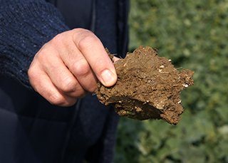 LEAF_Farming's tweet photo. Healthy #soil key to #foodsecurity, #biodiversity &amp; much more. RT to spread the word ahead of #WorldSoilDay, Dec 5 https://t.co/SblhY8L0P5 https://t.co/abiRmkHMwQ