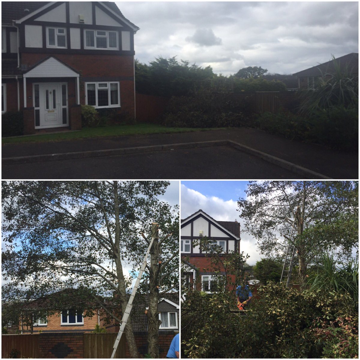 Another house ready for Christmas great help from my young apprentice.