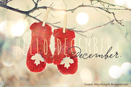 Stallion Express tweet media