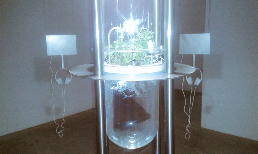MGplusMSUM's tweet photo. Biotehnološka instalacija Saše Spačal in Mirjana Švaglja od danes na ogled v MSUM. #prepih https://t.co/vW38cmWJCC