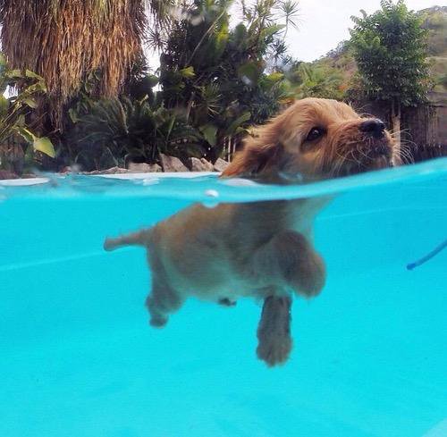 AmerAttorneys's tweet image. A quick splash to start my day right... #thursdayroutine