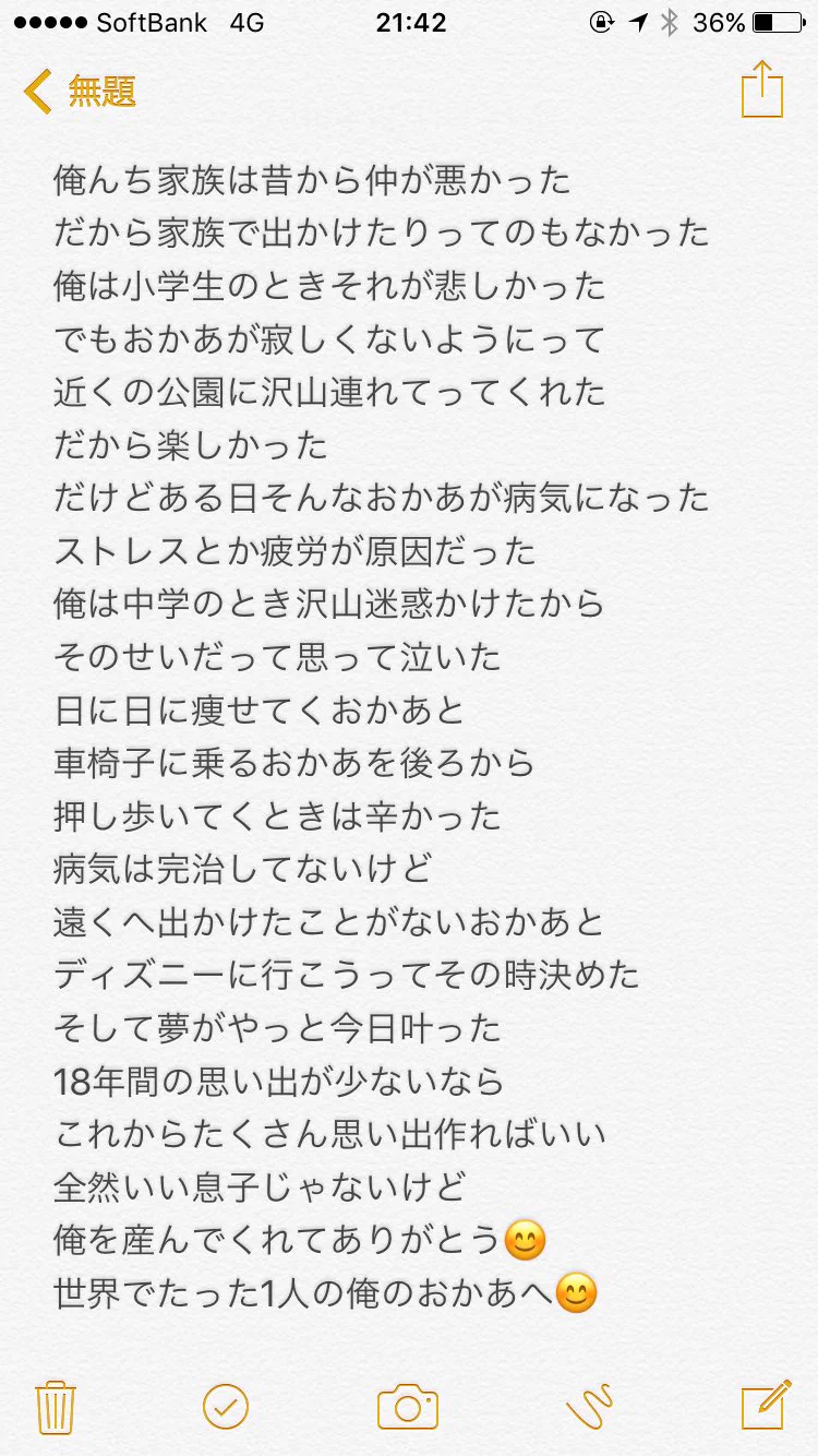 息子にシンデレラ城の前でお姫様抱っことかｗ幸せな母親に優しい息子やなーｗｗ