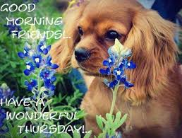 Good Morning Friends!! Happy Thursday!!