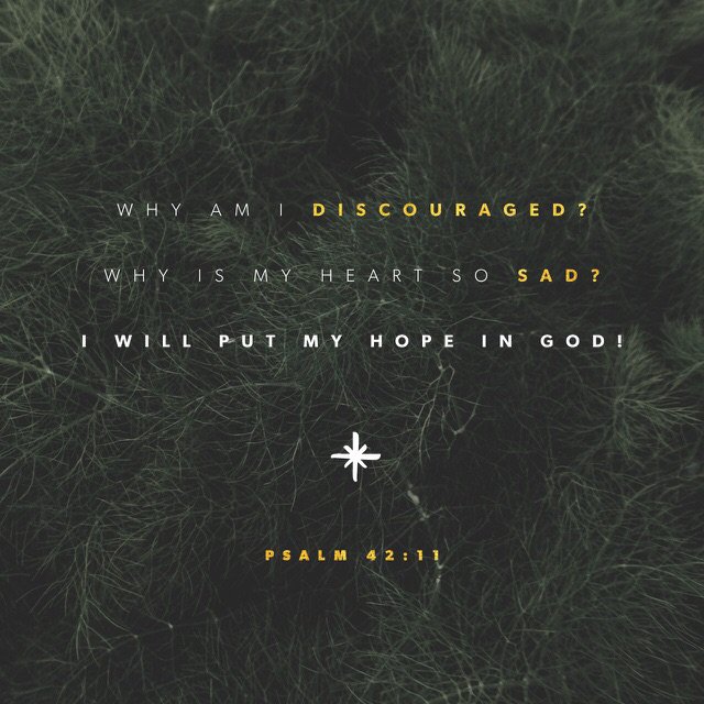 CashBackDaddy's tweet image. bible.com/116/psa.42.11.…