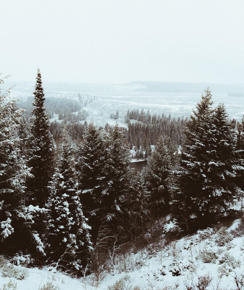 ventureplaces's tweet image. Winter in Grand Teton National Park