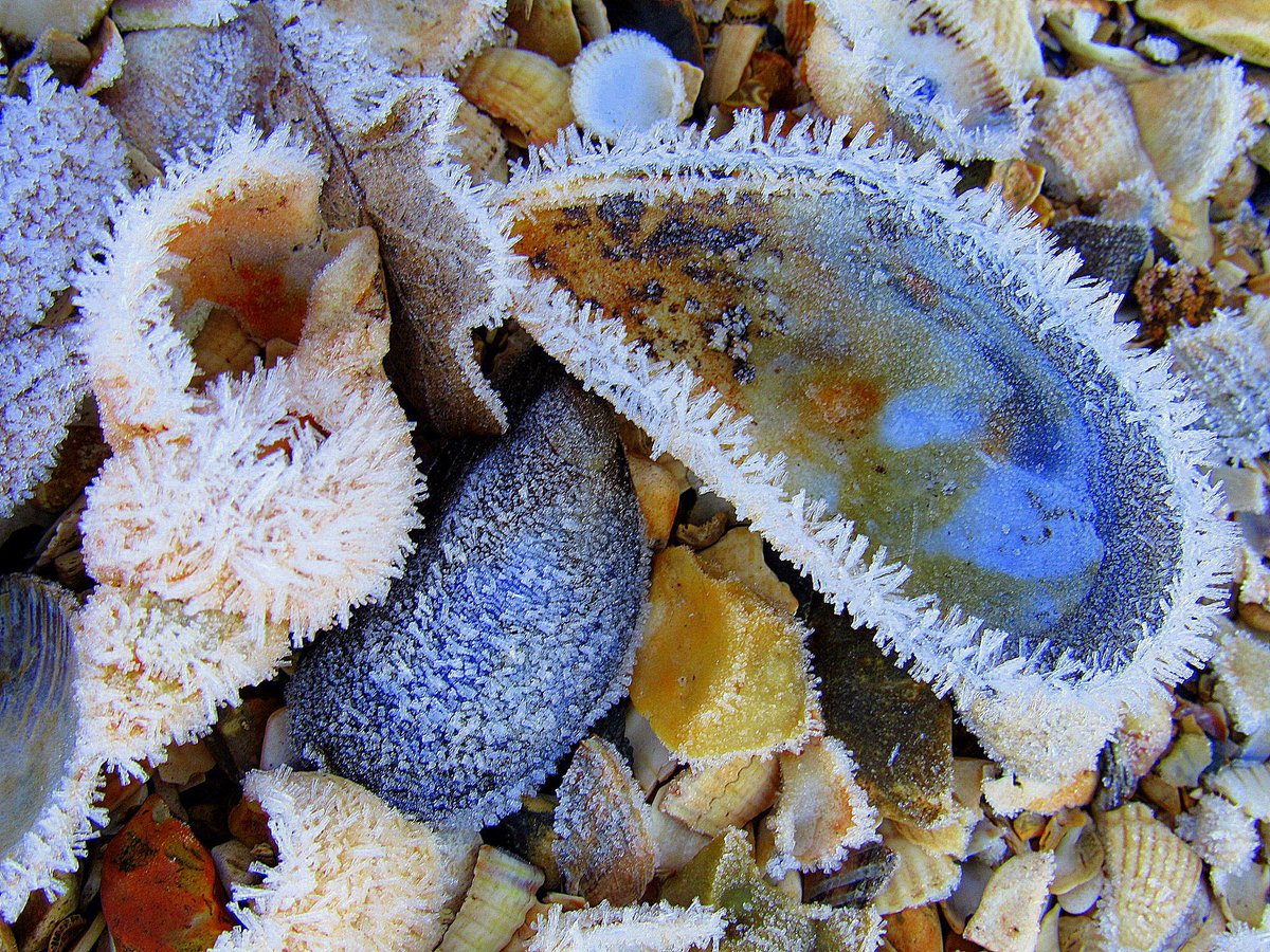 AliDiva_'s tweet photo. There was even frost on the beach in Hythe for the 1st day of winter @HytheLibrary @hantsconnect @GreenHampshire @HampshireLife @LymoTweetUp https://t.co/6T5dxz28F7