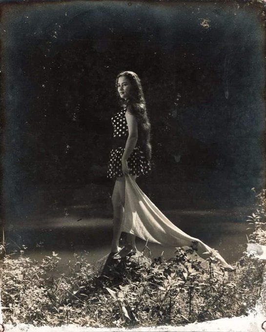 View image on Twitter