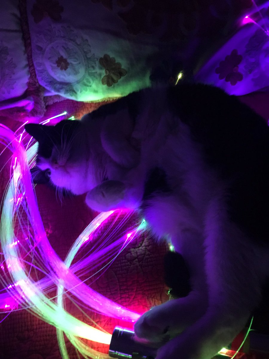 PLURparties's tweet image. Who doesn't dream of laying in a pile of #fiberflies?