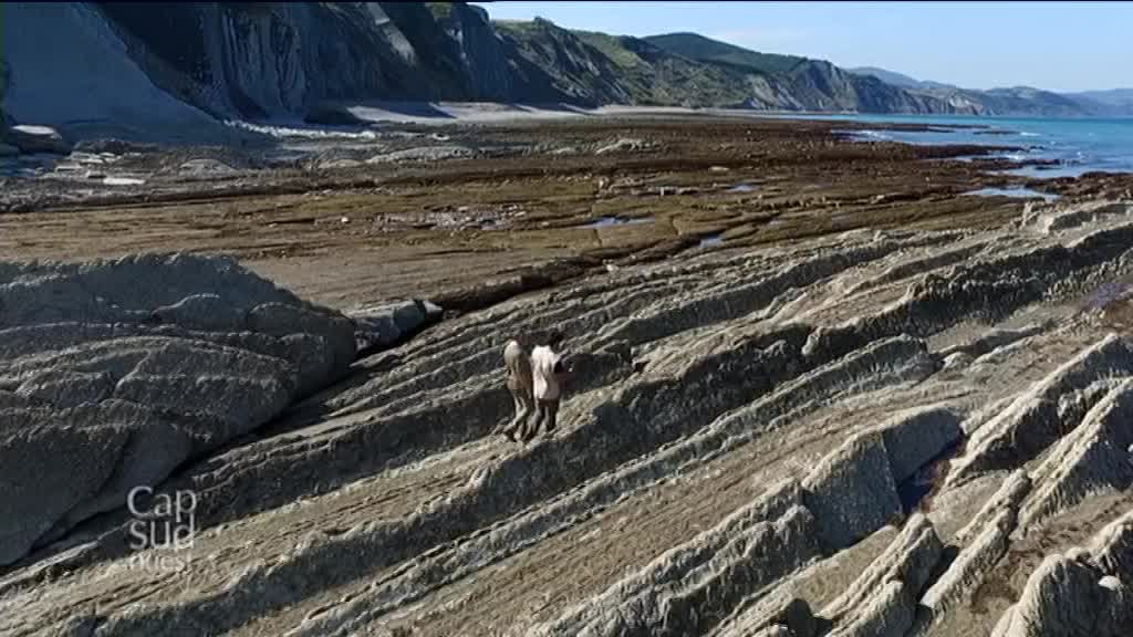 comf3aqui's tweet photo. La côte @PaysBasque64 vue par le drone Cap Sud Ouest : dimanche 12H55 @F3Aquitaine @F3euskalherri @Paysbasquenet @SO_Paysbasque @P_Basque https://t.co/jGhuj4zBlC