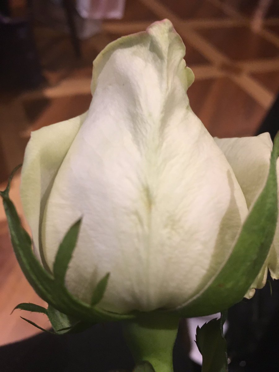 My GrEAT Rose presented by my very own CFL Allstar! #GEDSBLead