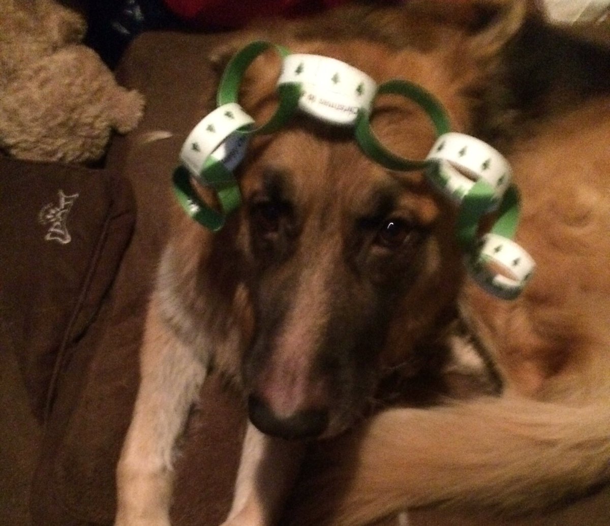 lolsta1991's tweet photo. Zeus like his #vippaperchain 😂🙈 https://t.co/eDKx8C1GTv