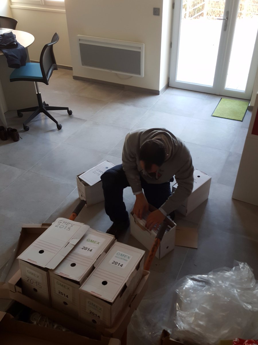 Gmex System tweet media