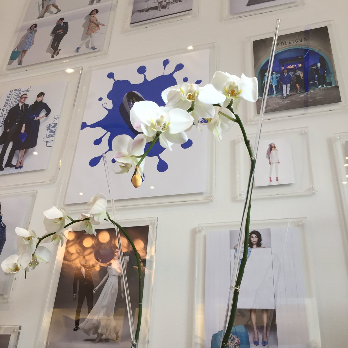 Our gallery wall is a walk down memory lane - stop in to see our favorite images from years past! #Hadleighs #HManLifestyle #HGirlLifestyle