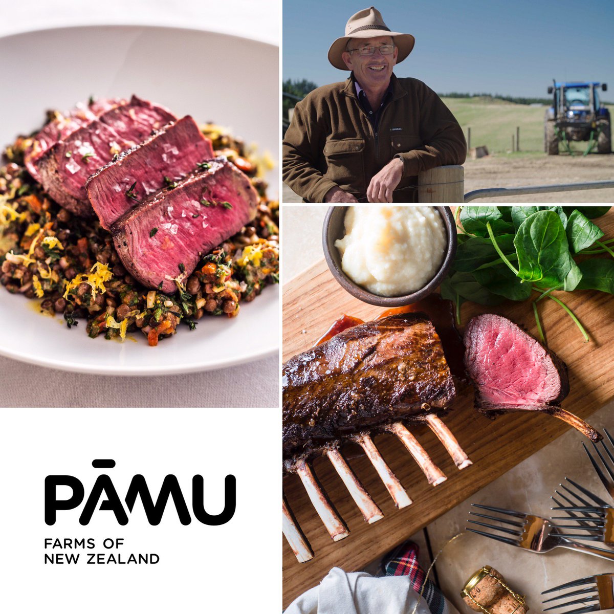 tfktopchop's tweet image. Presenting Pamu Venison Farmers of New Zealand ! Check out our full line of all natural venison here ow.ly/n42j306I9ZZ #pamu #foodie