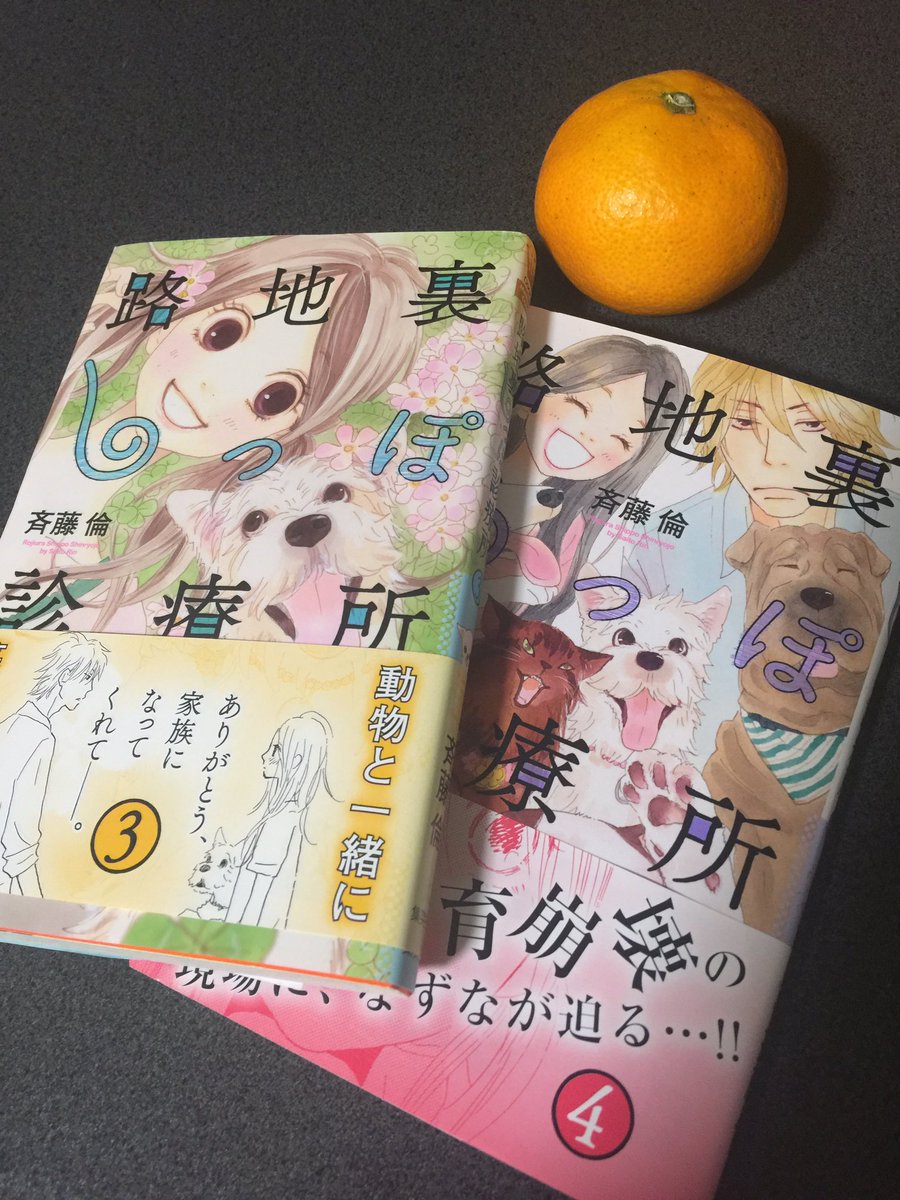 路地裏しっぽ診療所 路地裏しっぽ診療所