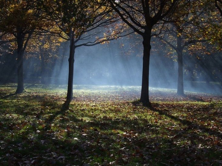 Londonist tweet media