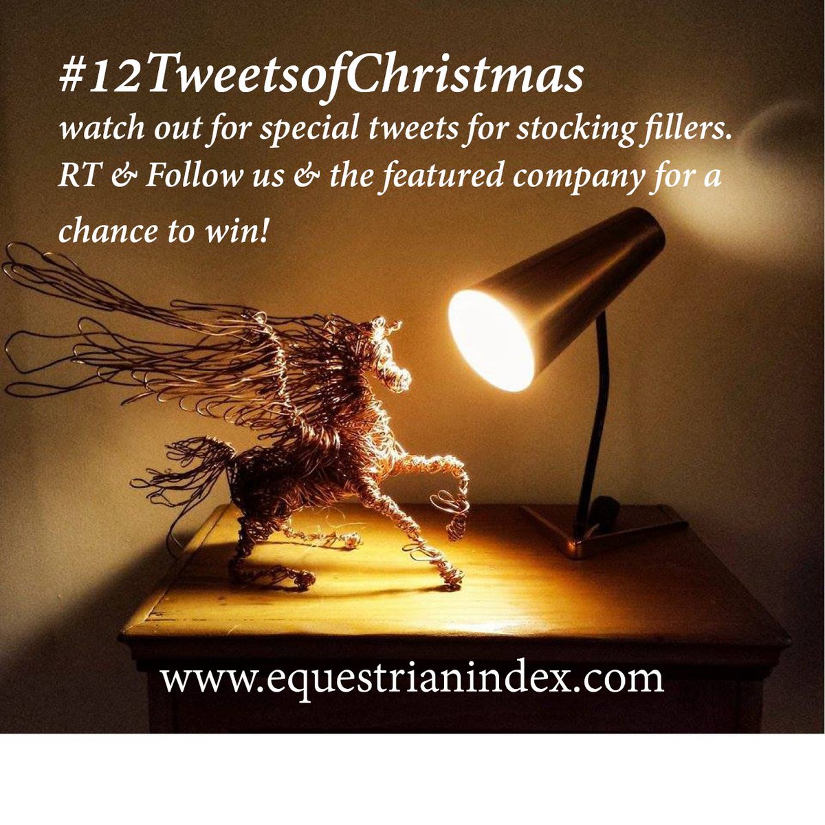 equestrianindex's tweet photo. #12TweetsofChristmas All I want for Christmas is you. https://t.co/BYv1RDyKmc