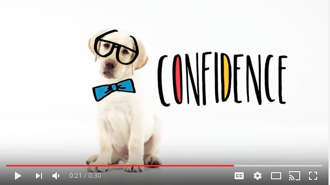 CSuiteComms's tweet photo. We're excited to share the new campaign we created with @SEGuideDogs https://t.co/xkSNjafjUs https://t.co/J9hYqSDgI6