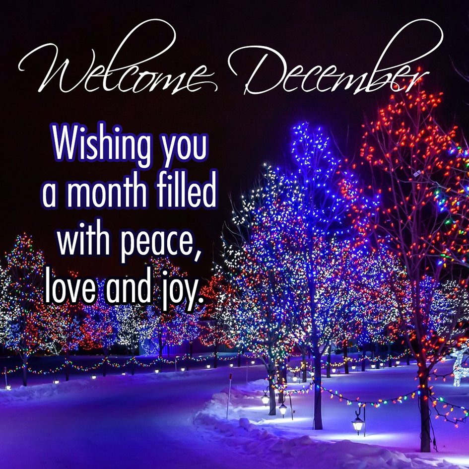 #WelcomeDecember Wishing you a month filled with peace,
love and joy. #HappyHolidays #HappyDecember #peace #love #create
#union #family
