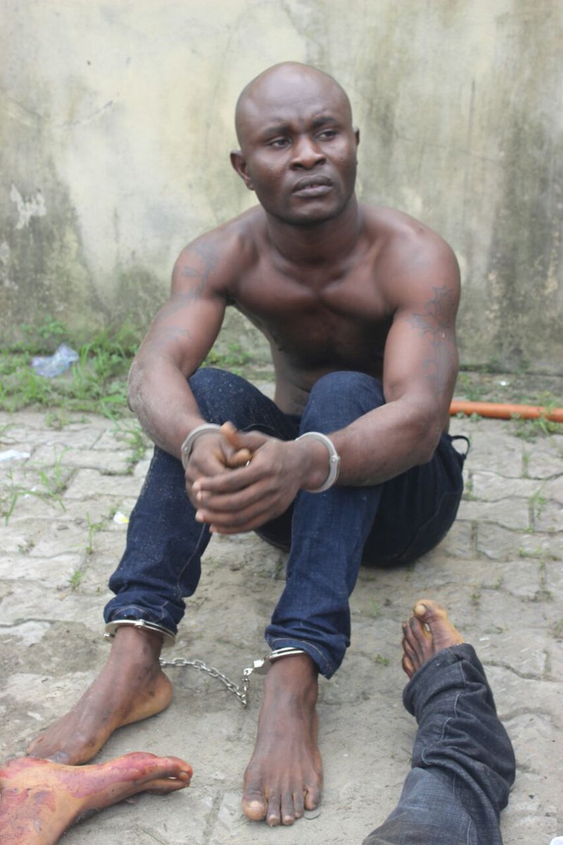 Rivers Police Foils Robbery Attempt, Recovers Weapons facebook.com/RiversNPF/post… <a href="/lindaikeji/">Linda Ikeji Blog</a> <a href="/NigeriaInfoPH/">NigeriaInfoPH</a> <a href="/NTANewsNow/">NTANetwork</a> <a href="/peacetalk/">Anti-Cult Lessons In Nigeria</a> <a href="/bellanaija/">BellaNaija</a>