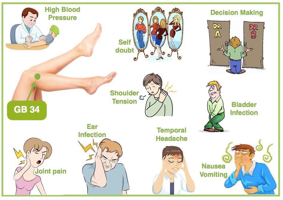 AcuProAcademy's tweet photo. GB 34 is the Superman Point Of Acupuncture! I love it 💛 #acupuncture https://t.co/YCaPPxGBc9