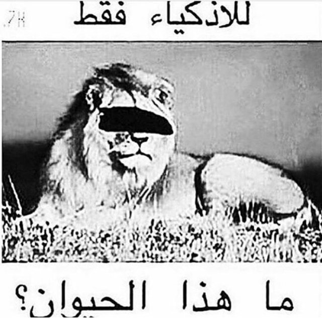 hhnna331's tweet photo. #ويكند_في_فواده_سكنانا 🌚؟! https://t.co/w1KSZfgtjY