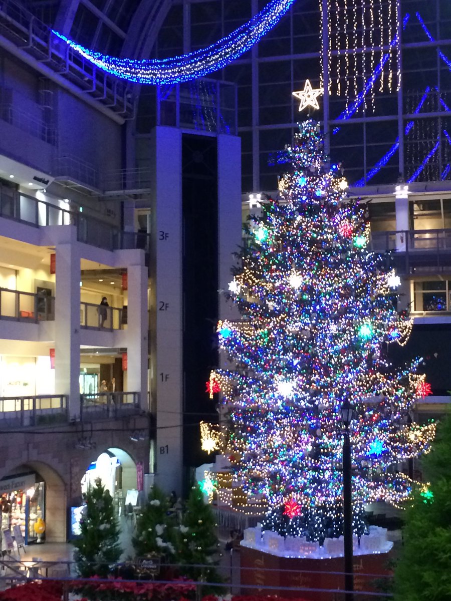 ファンタスティックビーストと
ファンタスティックツリー
見てきた