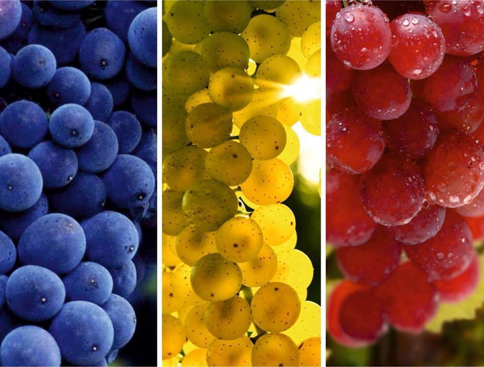 Today is a very special day 🎉Great Union Day. Happy National Day to my home country 🇹🇩 #Romania #RomanianWines #winelover #wine