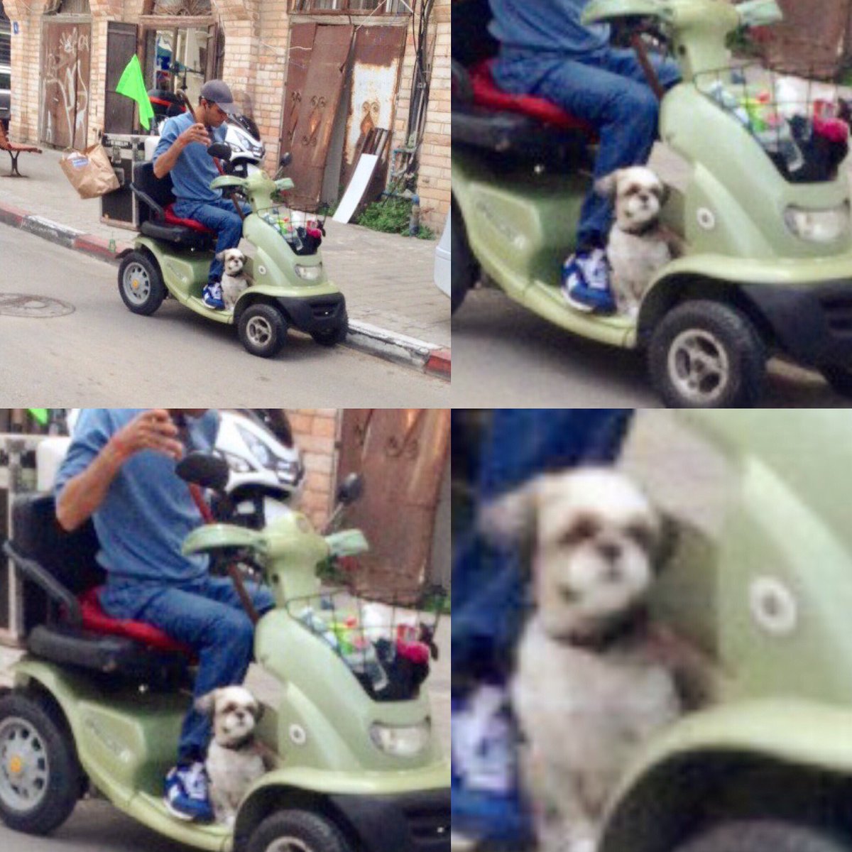 IsraelisDrive's tweet image. Ewok sold separately. #israelisdriveanything