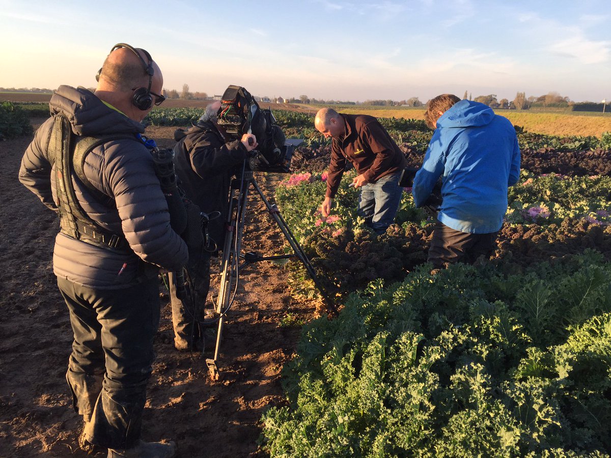 KalettesUK's tweet photo. Some pics from next Sunday’s #Countryfile show. We look great on TV, don’t we? #Kalettes #weareontv #BBCne @BBCCountryfile @tozerseeds https://t.co/1CwMlfAuYq