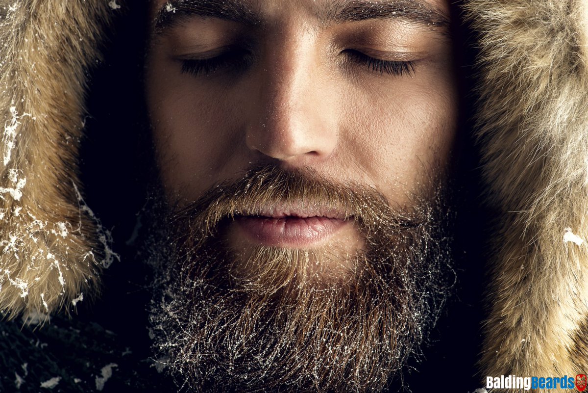 BaldingBeards's tweet photo. It's officially December which means 1 thing: DO NOT shave that November beard. #BeardWarmth is real folks. https://t.co/gl6KE0Obb4