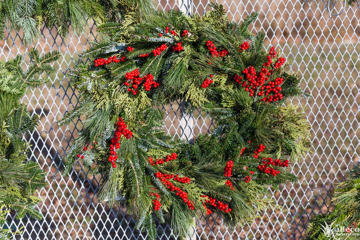 KallecoNursery's tweet photo. It's officially #December! Time for a tree and a wreath! https://t.co/9dKza7JFdi