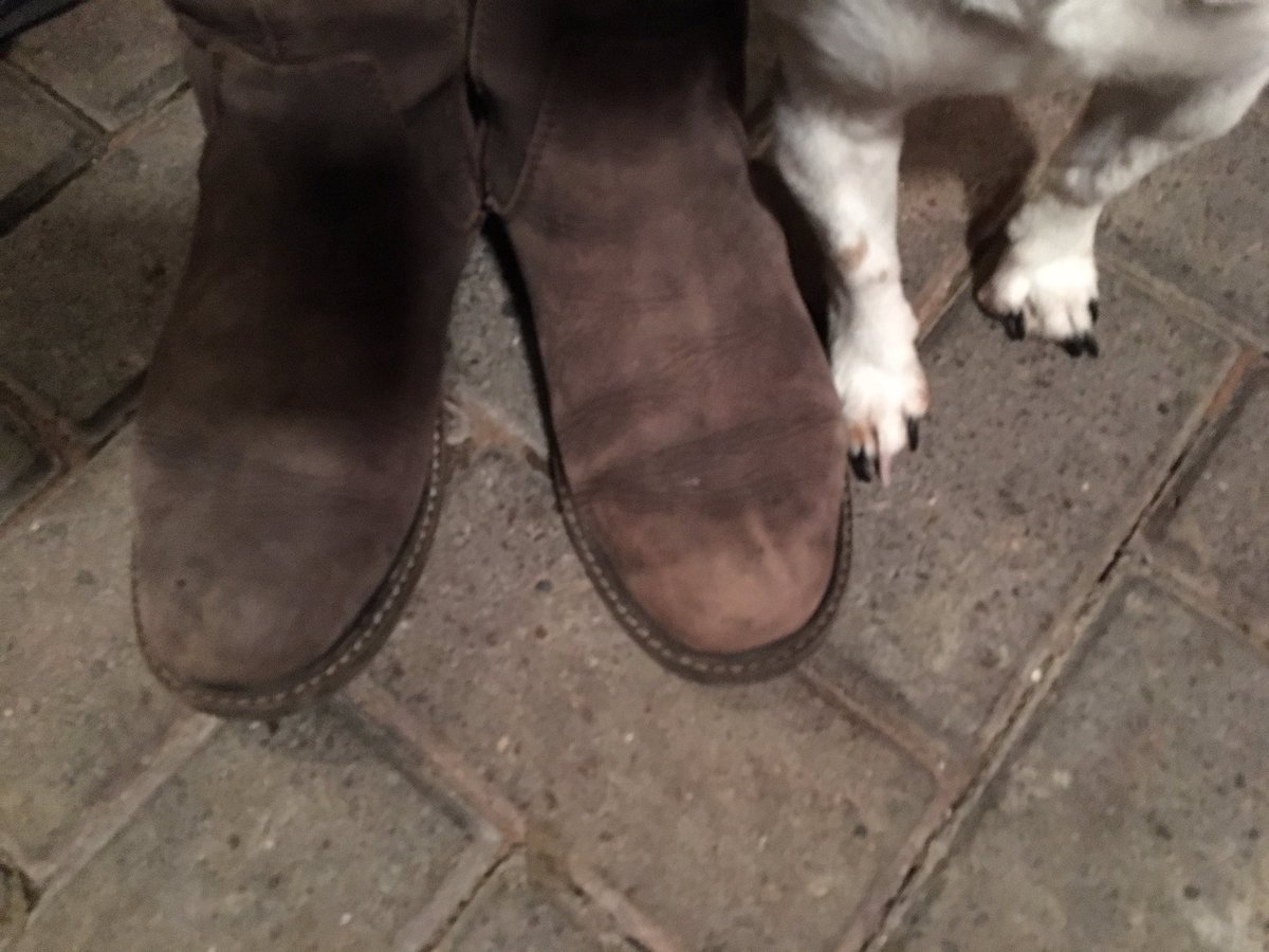 Molly &amp; I are standing up against homelessness,join in &amp; share your #FeetOnTheStreet <a href="/streetsupportuk/">Street Support Network</a> bit.ly/2gLw3lo 
#BigChangeMCR