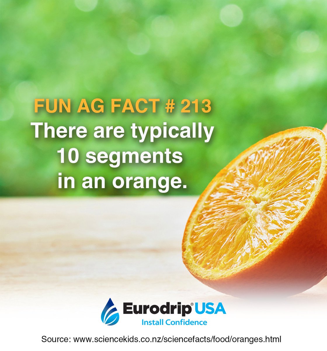EurodripUSA's tweet photo. Are you going to count them? I did! #FunAgFact https://t.co/0W9mKDAfLg